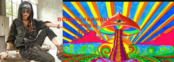 кокс Аркадак