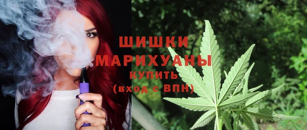 ешки Арсеньев