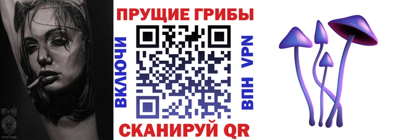 OMG ТОР  Любань  Галлюциногенные грибы Psilocybe 